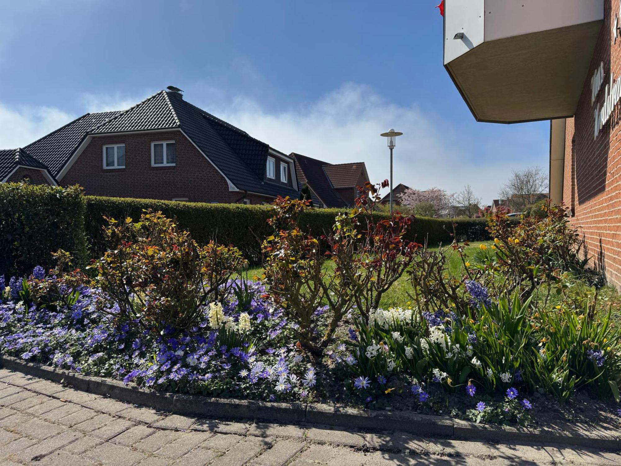Haus Nordstrand Büsum Rom bilde