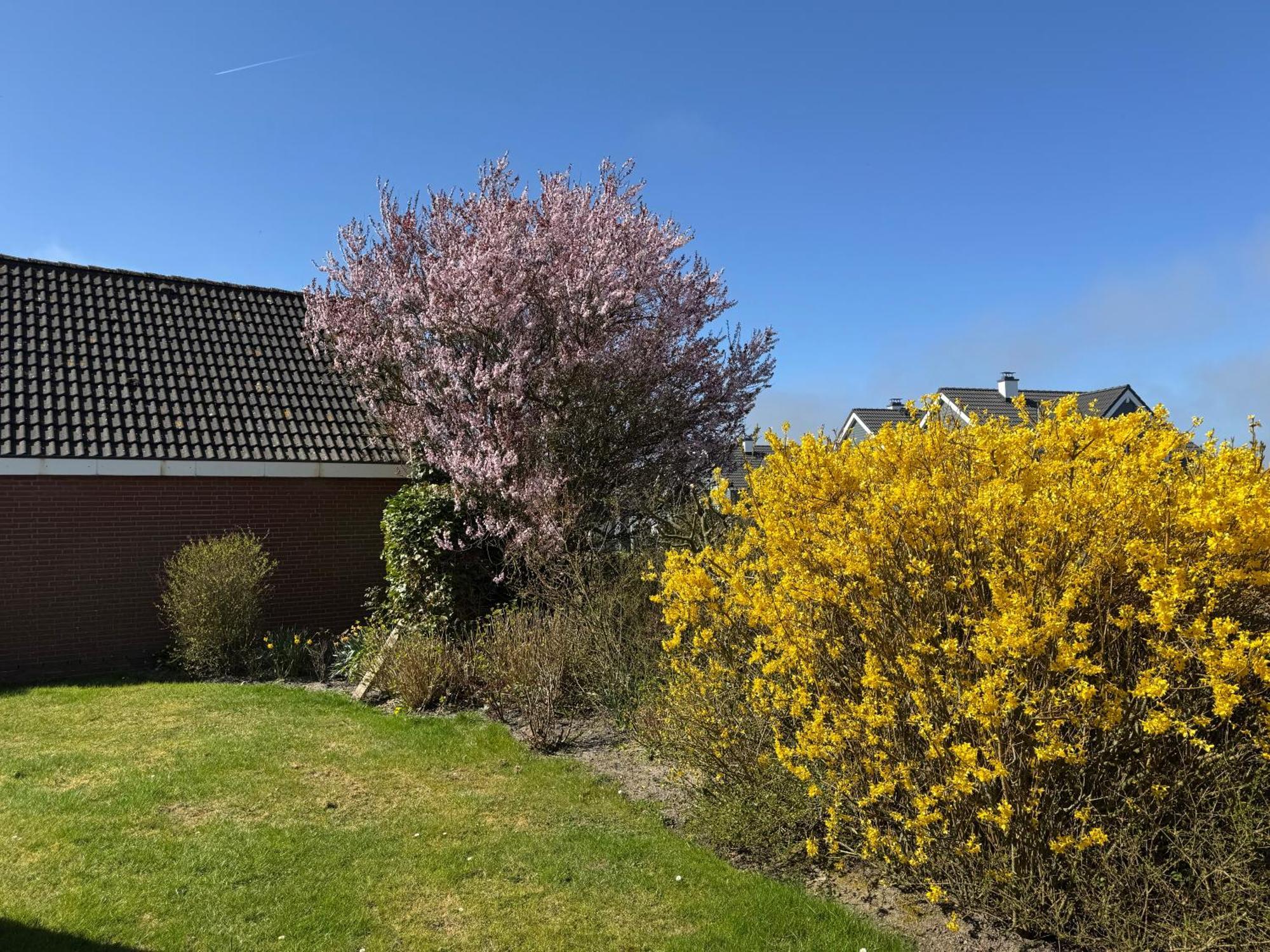 Haus Nordstrand Büsum Rom bilde