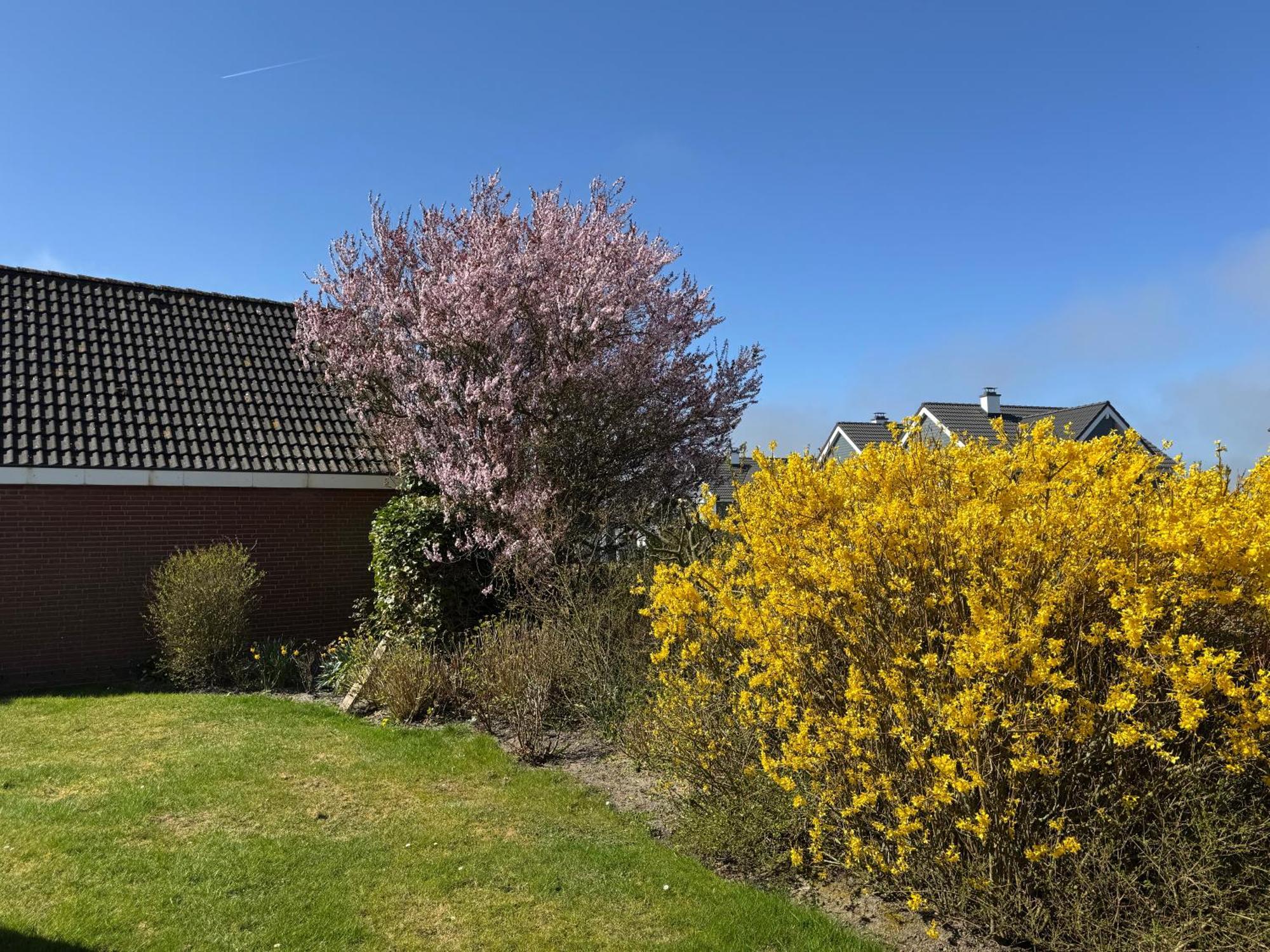 Haus Nordstrand Büsum Eksteriør bilde